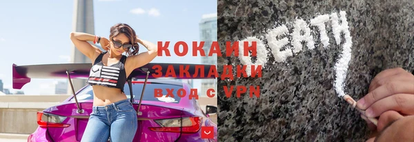 прущие грибы Тында