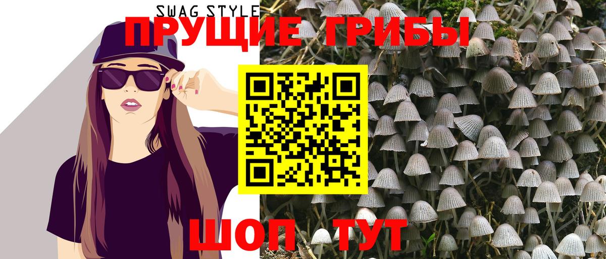 Ульяновск  Галлюциногенные грибы MAGIC MUSHROOMS  купить   Вход с VPN 