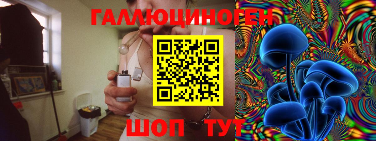 Галлюциногенные грибы Psilocybine cubensis Ульяновск